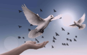 Aplicaciones para Escuchar Música Cristiana