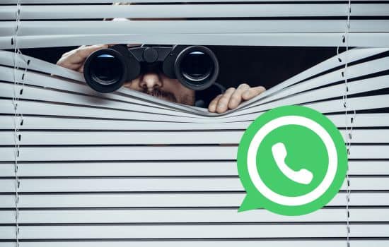 Aplicación de detectives de WhatsApp