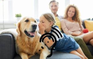 Descifrando los Secretos: Traduciendo las Voces de tu Mascota