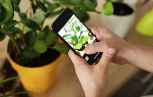 Descubra la naturaleza que le rodea