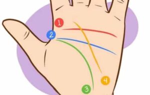 Explorando el Futuro: Aplicativos para Leer la Mano