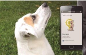 Aplicaciones para la Educación Animal