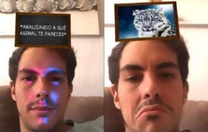 Aplicaciones para Descubrir a Qué Animal te Pareces