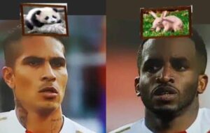 Explorando Aplicativos para Descubrir a Qué Animal Te Pareces