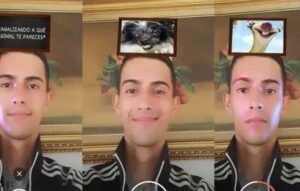 Aplicaciones Descubre com que tu animal te pareces