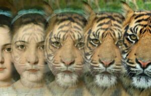 Explorando Apps para Descubrir Con Qué Animal te Pareces