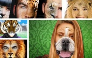 Encuentra Tu Animal Gemelo con Estas Apps Divertidas