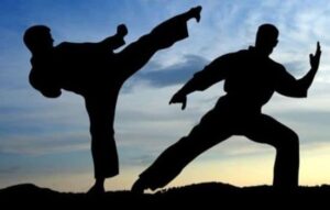 Aprende Artes Marciales en Casa con Aplicaciones