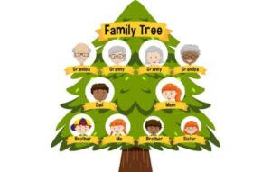 Descubre tu Árbol Genealógico con Estas Aplicaciones