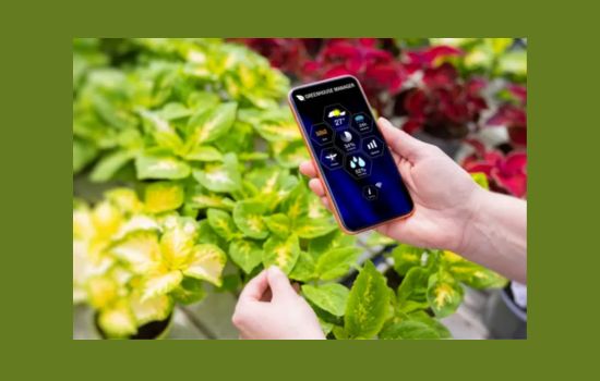Descubre el Mundo de las Plantas con Apps