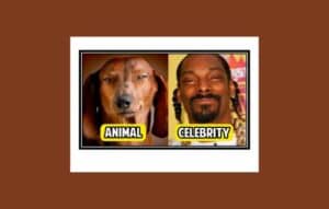 ¿Con qué Animal me Parezco? ¡Descubrelo con Aplicaciones!