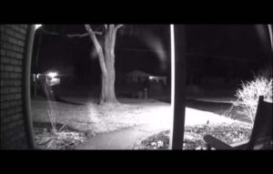 Explora el mundo oculto con la visión nocturna en tu celular