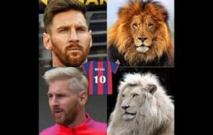 ¡Descubre qué animal eres! ¿Te atreves a conocer tu lado salvaje?