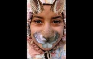 Descubre con qué animal te pareces: Una experiencia divertida