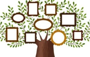 Construye tu Árbol Genealógico Ahora Mismo