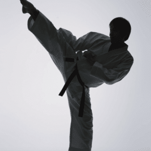 Domina el karate con Karate Workout