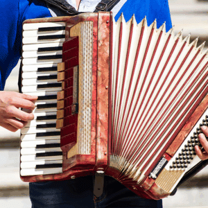 Domina el acordeón con My Accordion!